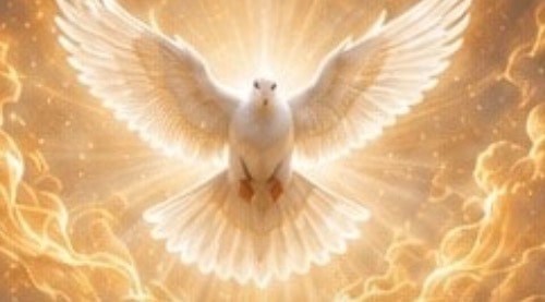 A white dove with wings spread wide, surrounded by warm golden heavenly light